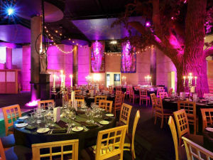 Swan at the Globe - The UnderGlobe